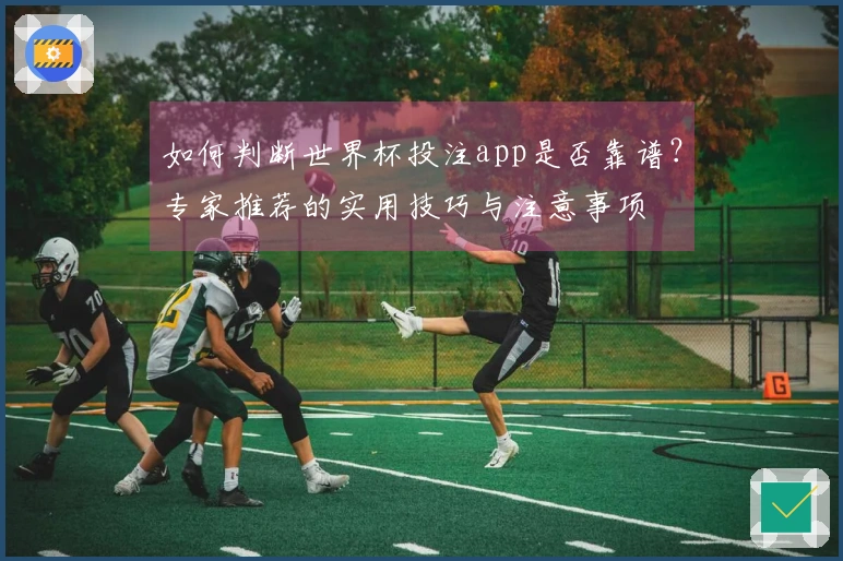 如何判断世界杯投注app是否靠谱？专家推荐的实用技巧与注意事项