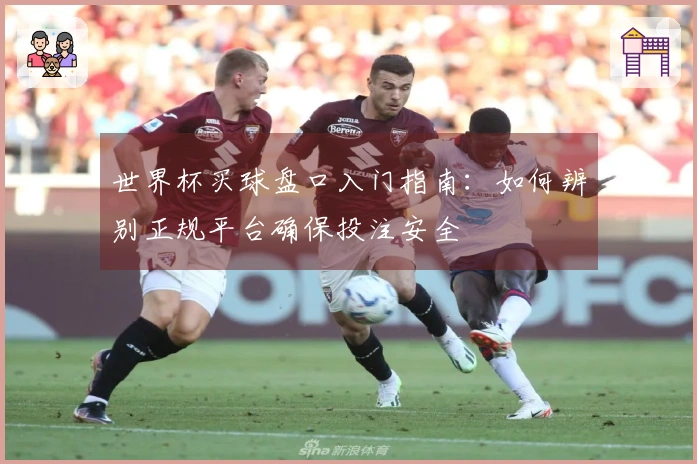 世界杯买球盘口入门指南：如何辨别正规平台确保投注安全