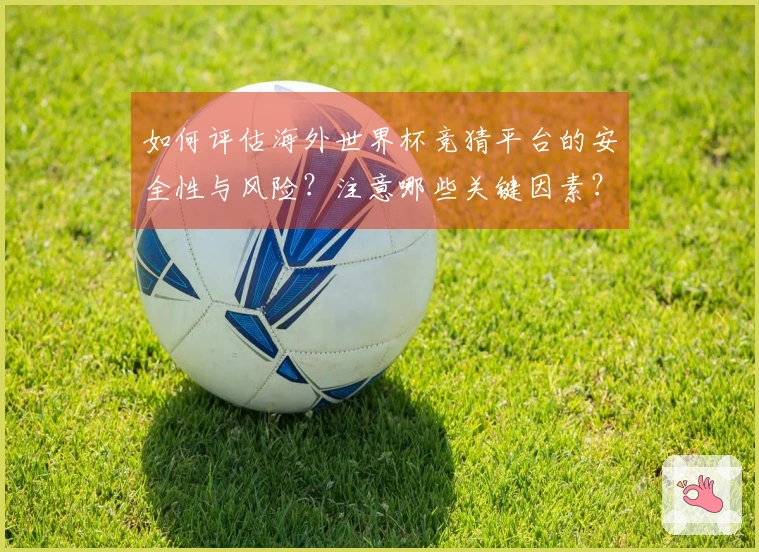 如何评估海外世界杯竞猜平台的安全性与风险？注意哪些关键因素？