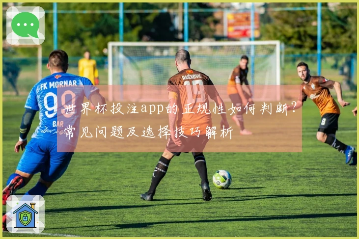 世界杯投注app的正规性如何判断？常见问题及选择技巧解析