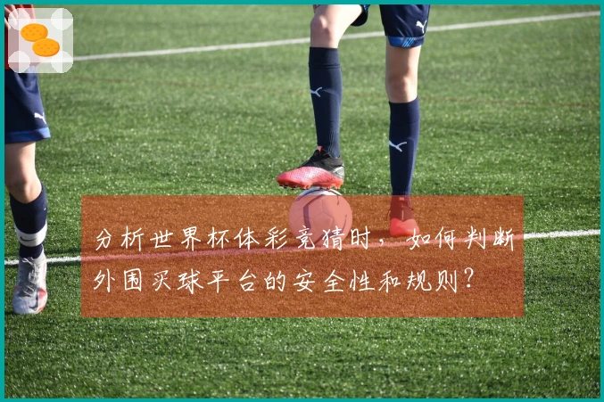 分析世界杯体彩竞猜时,如何判断外围买球平台的安全性和规则?