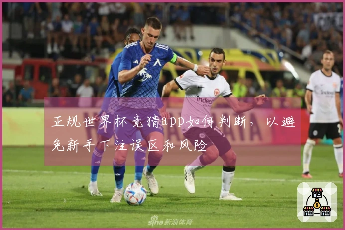 正规世界杯竞猜app如何判断，以避免新手下注误区和风险