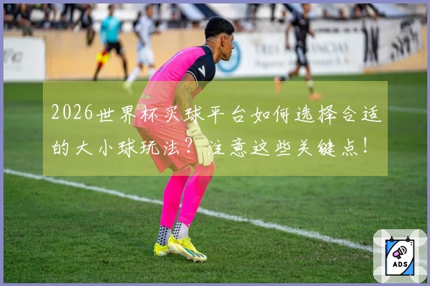 2026世界杯买球平台如何选择合适的大小球玩法？注意这些关键点！