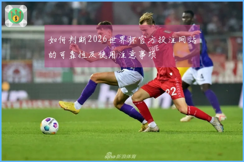 如何判断2026世界杯官方投注网站的可靠性及使用注意事项