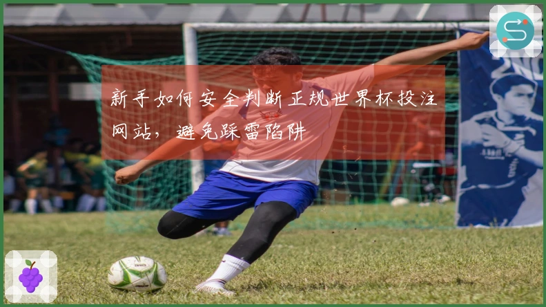 新手如何安全判断正规世界杯投注网站，避免踩雷陷阱