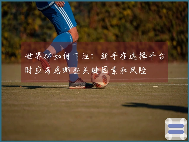 世界杯如何下注：新手在选择平台时应考虑哪些关键因素和风险