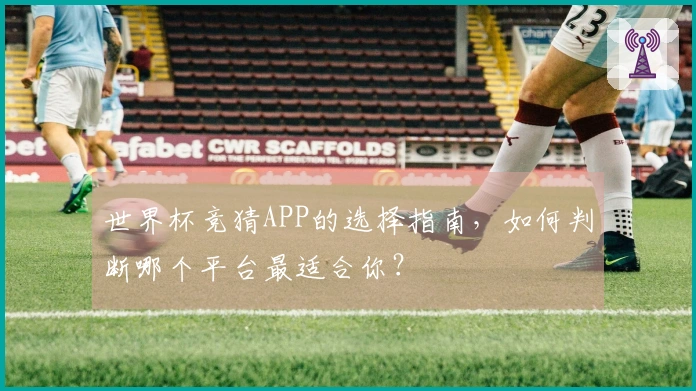 世界杯竞猜APP的选择指南，如何判断哪个平台最适合你？