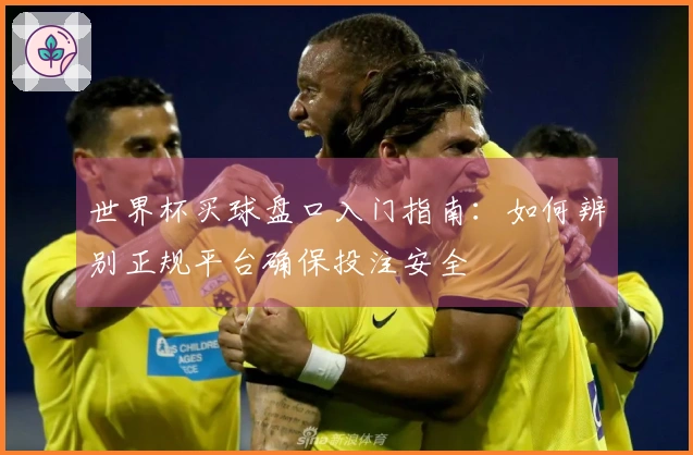 世界杯买球盘口入门指南：如何辨别正规平台确保投注安全