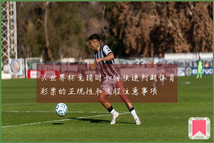 买世界杯竞猜时如何快速判断体育彩票的正规性和流程注意事项