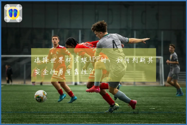 选择世界杯买球APP时，如何判断其安全性与可靠性？