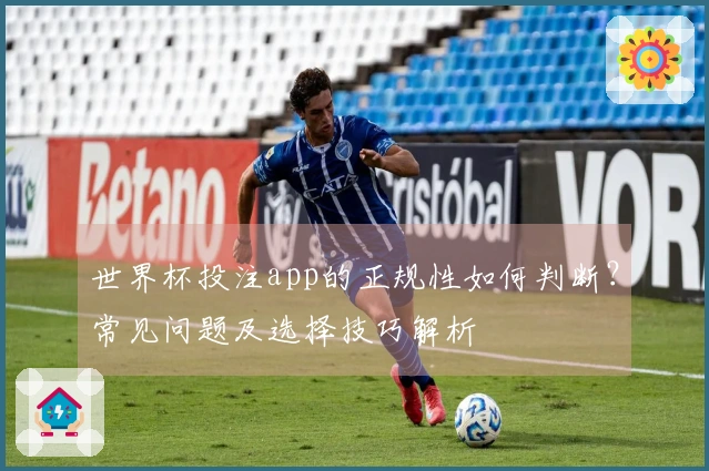 世界杯投注app的正规性如何判断？常见问题及选择技巧解析