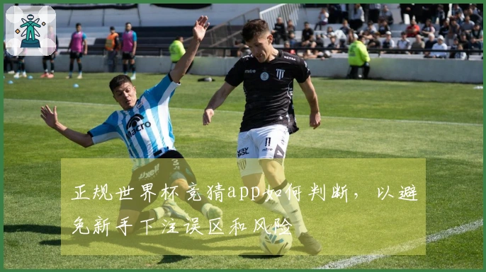 正规世界杯竞猜app如何判断，以避免新手下注误区和风险