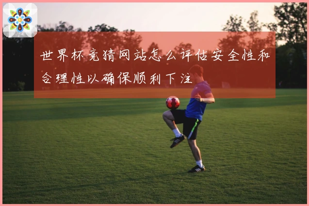 世界杯竞猜网站怎么评估安全性和合理性以确保顺利下注
