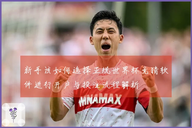 新手该如何选择正规世界杯竞猜软件进行开户与投注流程解析
