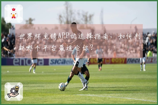 世界杯竞猜APP的选择指南，如何判断哪个平台最适合你？