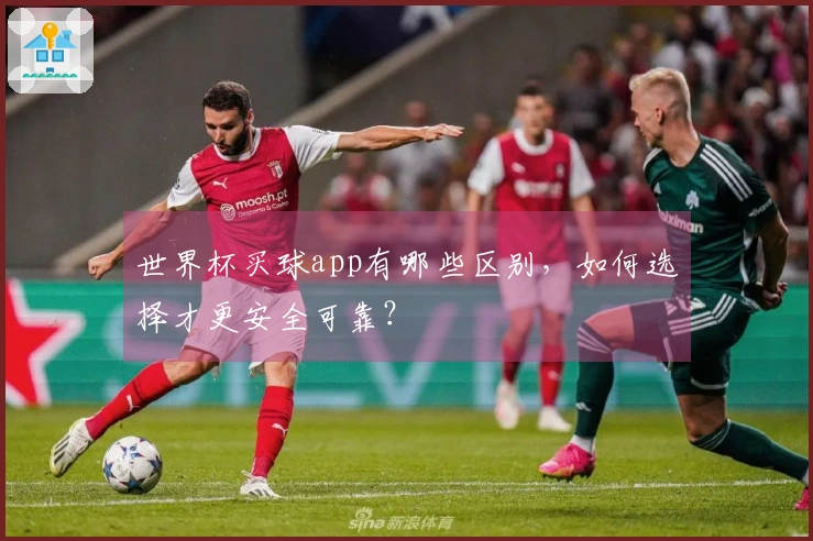 世界杯买球app有哪些区别，如何选择才更安全可靠？