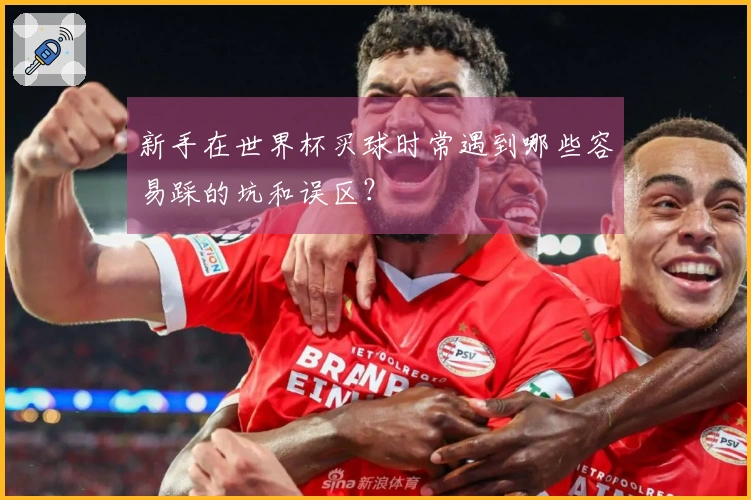 新手在世界杯买球时常遇到哪些容易踩的坑和误区？