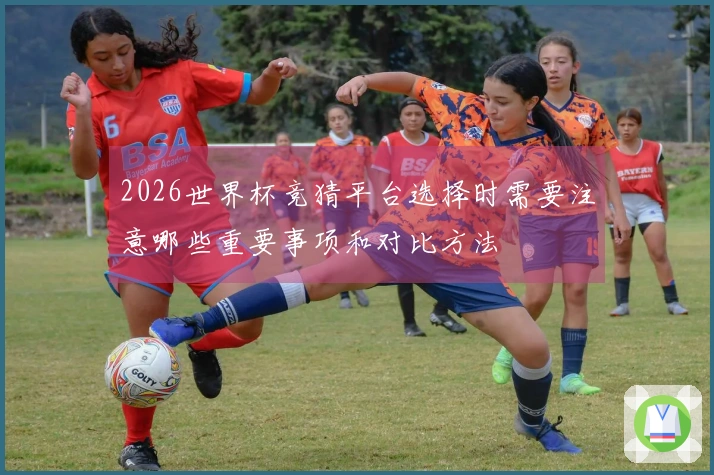 2026世界杯竞猜平台选择时需要注意哪些重要事项和对比方法