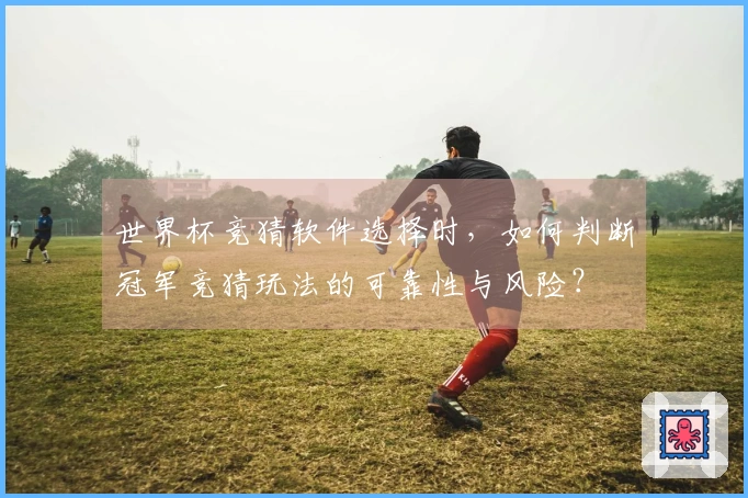 世界杯竞猜软件选择时，如何判断冠军竞猜玩法的可靠性与风险？