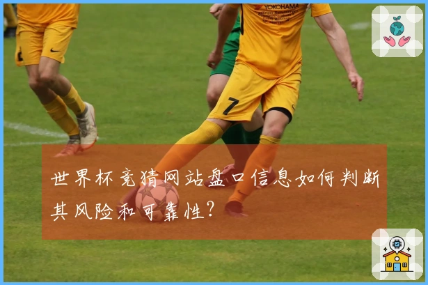 世界杯竞猜网站盘口信息如何判断其风险和可靠性？